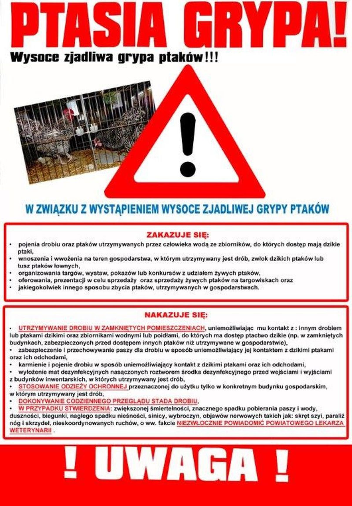 zobacz więcej zdjęć 