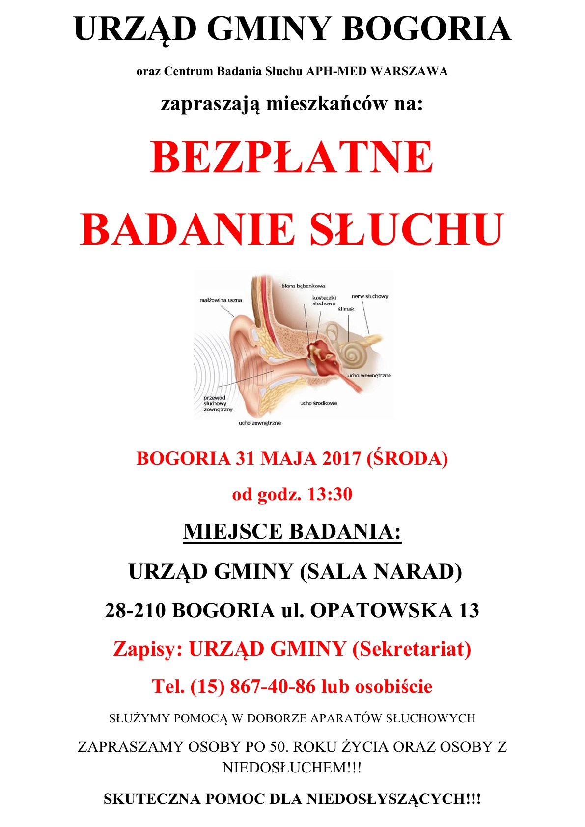 zobacz więcej zdjęć 