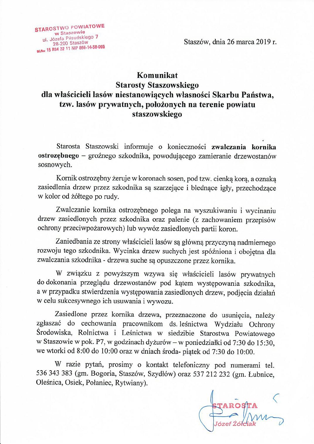 zobacz więcej zdjęć 