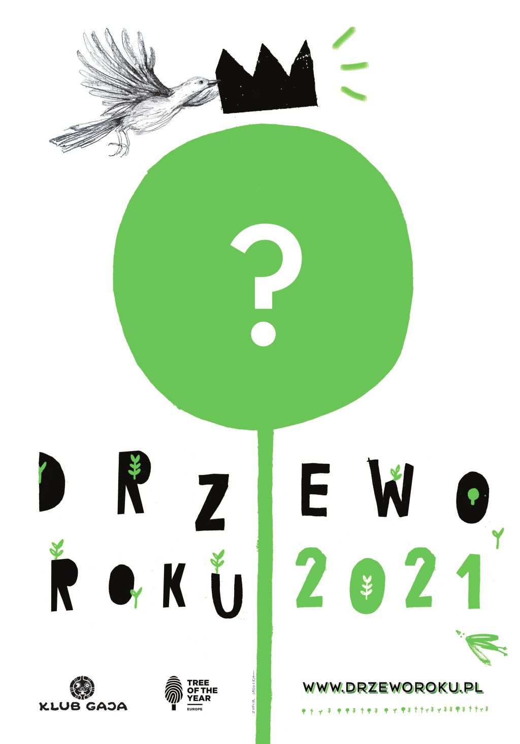 zobacz więcej zdjęć 